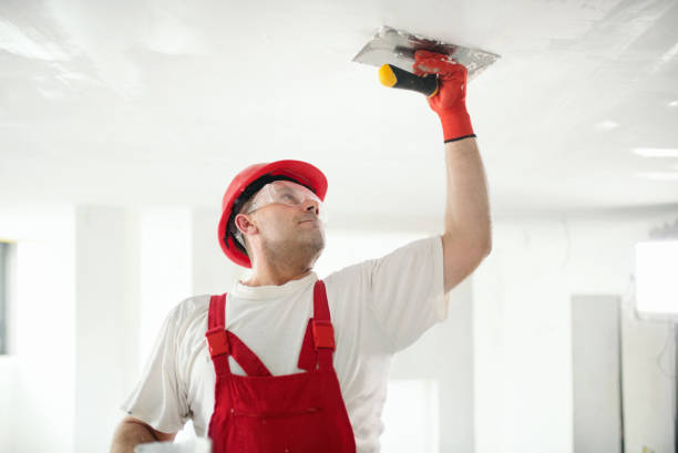 Best Pressure Washing and Painting Preparation  in Osage Beach, MO